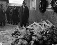 200px Buchenwald bei Weimar am 24 April 1945 - هولوکاست Holocaust